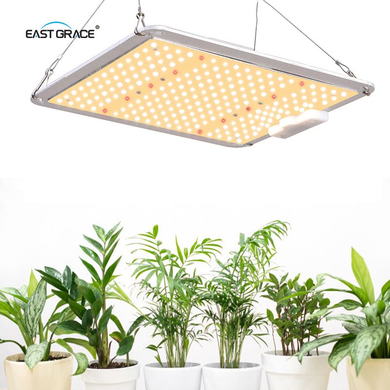 Placă de lumină cu LED-uri