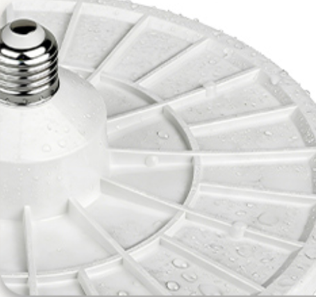 product-455-428 product-455-428