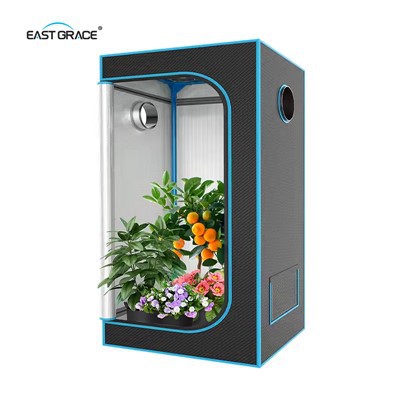 Care este cel mai bun cort de creștere de 320W pentru începători?